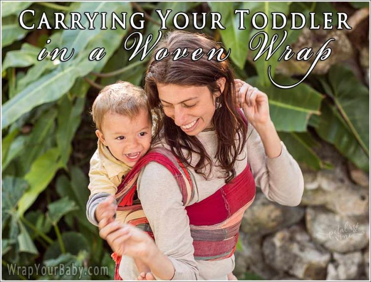 Toddler Wrapping Wrap Your Baby