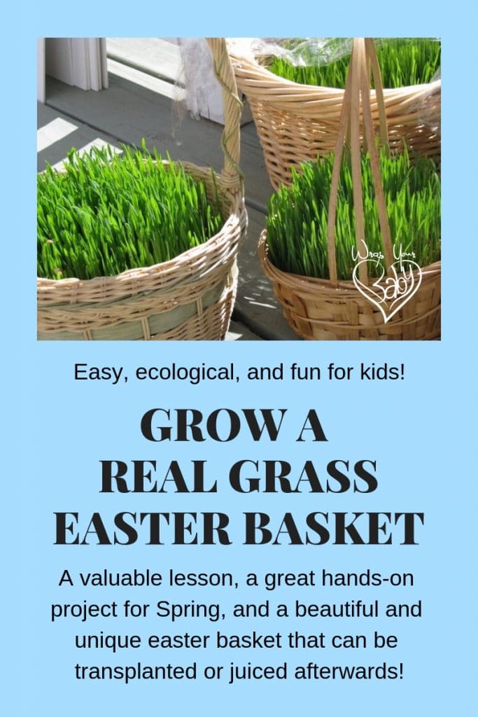 Grow a Real Grass Easter Basket (So Easy)! Wrap Your Baby